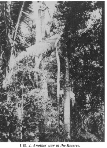 FIG. 2. Another view in the Reserve.