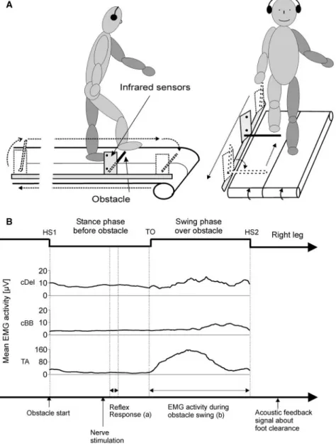 Fig. 1 Experimental setup. (A) Schematic experimental setup illustrating a subject on a treadmill stepping over an obstacle with the right leg leading and freely moving arms