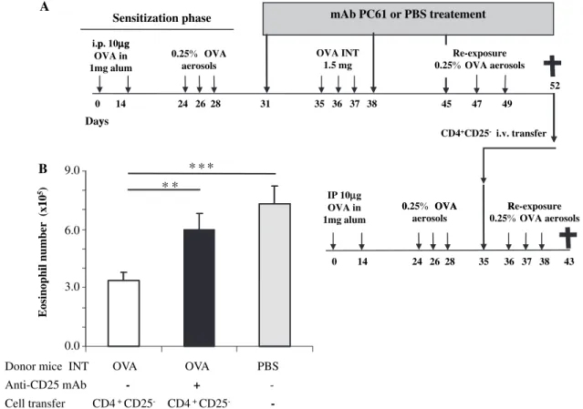 Fig. 7. CD4 + CD25 + T cells are necessary for CD4 + CD25 T cells to acquire regulatory properties