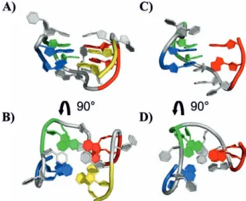 Figure 8. Representation of the 3D structure of the TBA DNA G- G-quadruplex (A, B) (PDB ID: 1QDF) and of the experimental structure of the 11-mer-3  -t-TBA fragment (C, D) (present work)