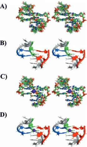 Figure 7. Stereo view representation (crossed eyes) of the family of 10 structures of 11-mer-3  -t-TBA with lowest XPLOR-NIH energy, and after AMBER rMDs (A)