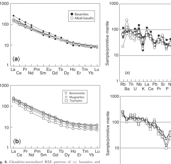 Fig. 6. Chondrite-normalized REE patterns of (a) basanites and alkali basalts and (b) differentiated rocks from the Siebengebirge area