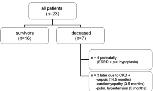 Fig. 2. Cumulative survival is significantly worse (P &lt; 0.03) in infants with a diagnosis of ROH before the 30th gestational week.