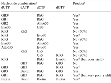 Table 2. Evaluation of DNA synthesis ef®ciency of different modi®ed dNTP combinations by Vent R exo ± DNA polymerase