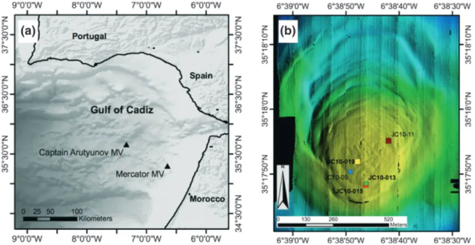 Fig. 1. Study location and sampling stations. (a) Gulf of Cadiz bathymetric map showing the location of the two MV investigated in this study.