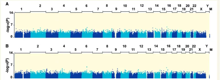 Figure 3 Manhattan plots for genome-wide association-analysis results. log 10 P-values of the logistic regression test (A) and the Cochran–Mantel–Haenszel test (B) for quality-control-positive SNPs are plotted against SNP positions on each chromosome.
