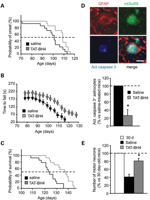 Fig. 7D), but not the overall number of GFAP-positive astro- astro-cytes distributed throughout the spinal ventral horns (saline: