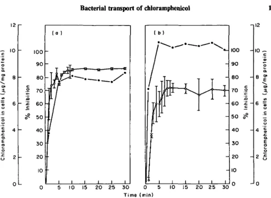 Figure 7. Relationship of chloramphenicol uptake (#), to inhibition of protein synthesis (O), in cells of
