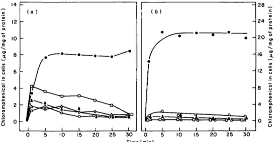 Figure 5. Effect of energy inhibitors on chloramphenicol uptake by E. coli (a), and P