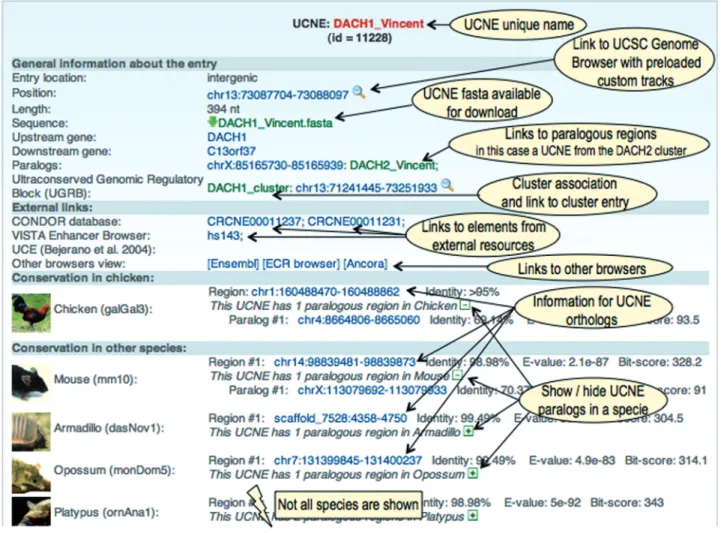 Figure 2. Web display of a UCNE entry.