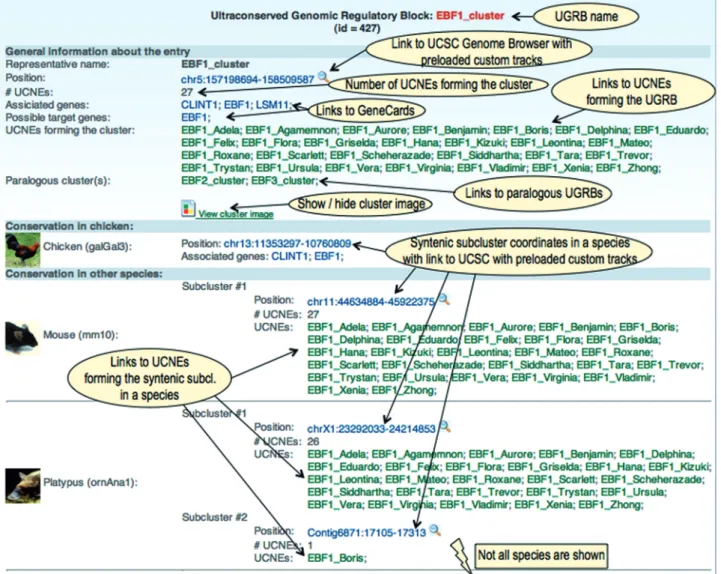 Figure 3. Web display of a UGRB entry.