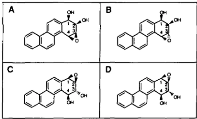 Fig. 1. Structures of-chrysene diol-epoxides; A jy/i-chrysene-1,2-diol 3,4-oxide, B anri-chrysene-1,2-diol 3,4-oxide, C jyn&lt;hrysene-3,4-diol