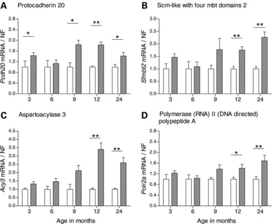 Fig. 1F). For the genes obtained from the combined ranking lists, YAC128 mice showed a significant up-regulation of Pcdh20 at all time points, except for at 6 months (P ¼ 0.018 at 3 months; P ¼ 0.017 at 9 months; P ¼ 0.0012 at 12 months; P ¼ 0.035 at 24 mo