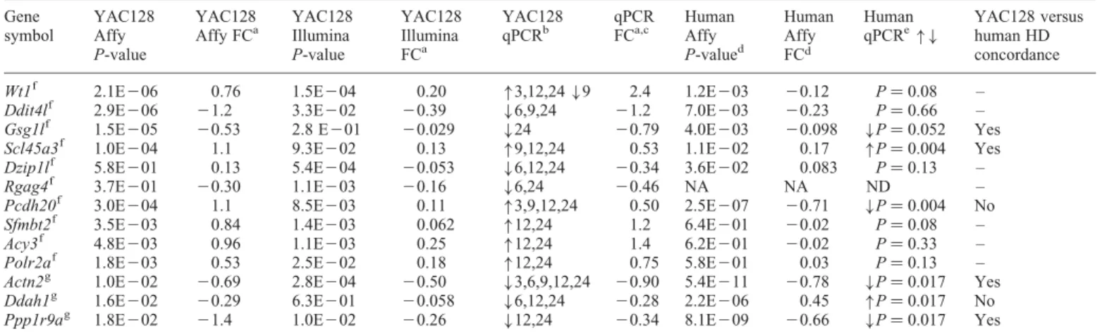 Table 2. Summary of expressional profiling and transcriptional alterations in YAC128 and HD cases