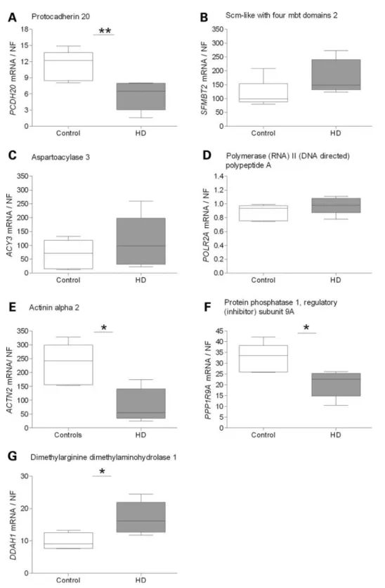 Figure 5. Transcriptional alterations identified in human HD caudate compared with controls