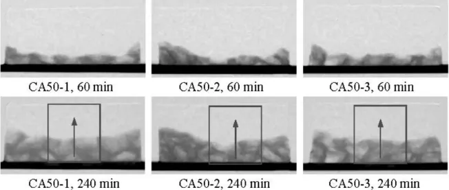 Figure 12: Water penetration into layers of concrete CA, having different distances from the surface, after 50 freeze-thaw cycles by neutron radiography 