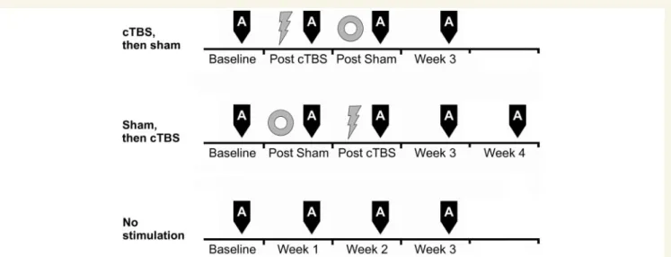Figure 2 Schematic representation of the time line of the experimental procedures in the three groups of patients with neglect