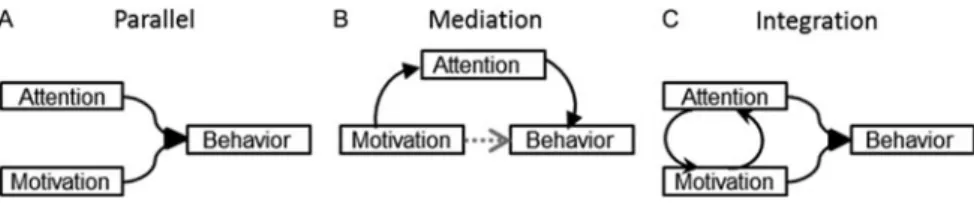 Figure 10. Three models of the relationships between attention and motivation. (A) In the parallel model, attention and motivation have independent effects on behavior