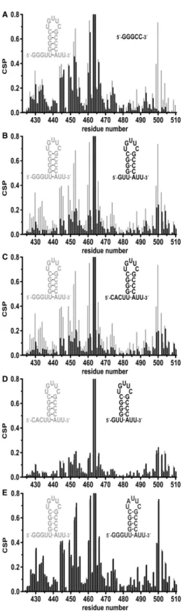 Figure 6. Differences in RNA binding as assessed by CSP experiments.