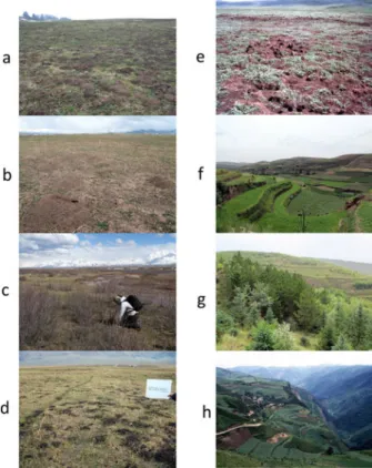 Fig. 2. View of some of the hotspots studied. a, Outbreak of Arvicola terrestris and Microtus arvalis in the Jura massif grassland, France (tumuli are earth expelled by A