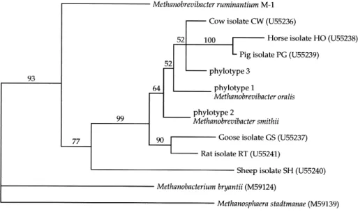 Fig. 1. Unrooted phylogenetic tree of Methanobacteriaceae inferred from partial SSU rDNA sequences [4,13]