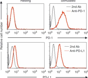 Fig. 4. Flow cytometric analysis of PD-1 and PD-L1 expression on OT-1 CD8 þ T cells. Resting or OVA 257–264 peptide-stimulated OT-1 CD8 þ T cells were stained with anti-mouse PD-1 or PD-L1 mAbs for flow cytometric analysis
