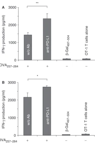 Fig. 6. Blockade of PD-L1 on renal TEC increased OVA peptide-specific OT-1 CD8 þ T cell activation