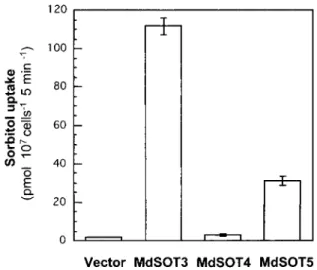 Fig. 3 Uptake of sorbitol by yeast cells expressing MdSOT3, MdSOT4, and MdSOT5. Uptake of 0.5 mM [ 14 C]sorbitol was  meas-ured at an external pH of 4.5
