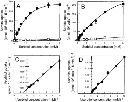 Fig. 4 Concentration dependence of sorbitol uptake in yeast cells  express-ing MdSOT3 (A) and MdSOT5 (B).
