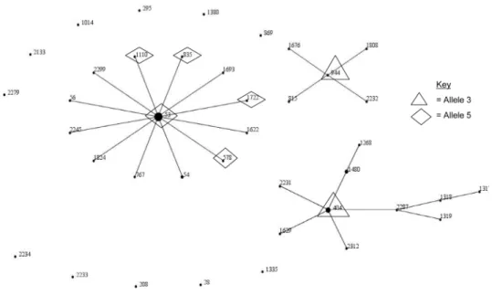 Figure 3. eBURST diagram showing the relationship between serotype 8 clones of Streptococcus pneumoniae as well as the distribution of pneumolysin alleles within the serotype 8 pneumococcal population.