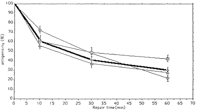 Fig. 3. The percentage loss of antigenicity in 30 normal cell lines after an u.v.-irradiation of 10 J/m 2 