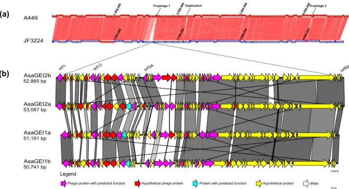 Figure 1. Identification ofAsaGEI2b in the genome of the JF3224A. salmonicida subsp. salmonicida isolate