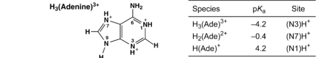 Fig. 2 Acidity constants for threefold protonated adenine; for details see [16].