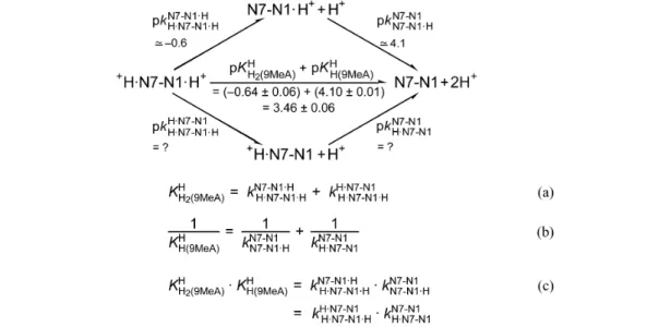 Fig. 5 Equilibrium scheme for 9-methyladenine (9MeA) (Table 1, entry 1) defining the micro acidity constants (k) and showing their interrelation with the measured macroconstants (K) and the connection between N7-N1  H + and
