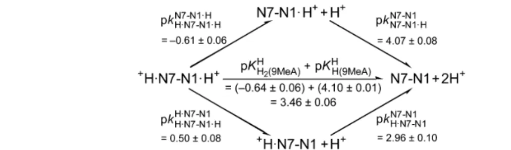 Fig. 6 The above structures reveal the close similarity between H(7,9MeA) 2+ and H 2 (9MeA) 2+ , which allows the application of pK H H(7,9DiMeA) = 0.50 ± 0.08 (Table 1, entry 4) for pk HN7 HN7 -N1-N1 H of H 2 (9MeA) 2+ in the microconstant scheme in Fig