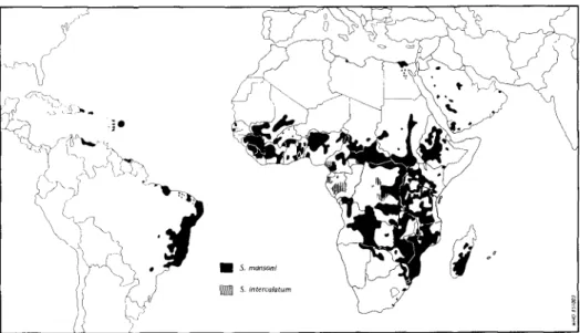 Fig. 3b. Global distribution of schistosomiasis due to Schistosoma mansoni and S. intercalatum (WHO, 1985).