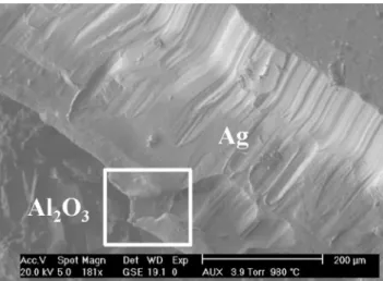 Fig. 1 Experimental set-up. Inner part of hot stage with sample (preform diameter 4 mm).