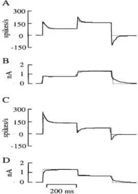 Figure 12. Transfer response of a model layer 2/3 pyramidal neuron. (A) Exponential adaptation function fitted to instantaneous discharge frequency of the neuron in response to the intrasomatic current step shown in (C)