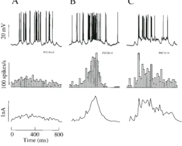 Figure 15. Simulation of responses of layer 2/3 pyramidal neuron to 0.6, 1.0 and 1.5 nA amplitude Hanning input currents