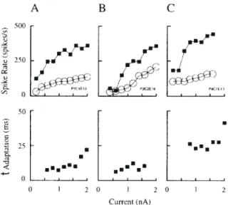 Figure 7. Percentage adaptation of discharge rate observed in cortical neurons in vivo.