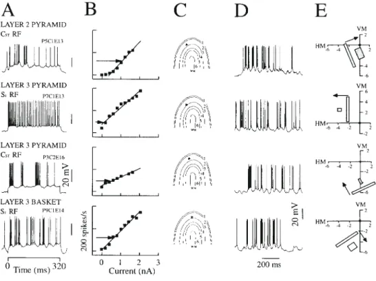 Figure 8. Current–discharge characteristics and visual responses of neurons in the superficial layers of cat striate cortex (three pyramidal neurons and one basket cell)