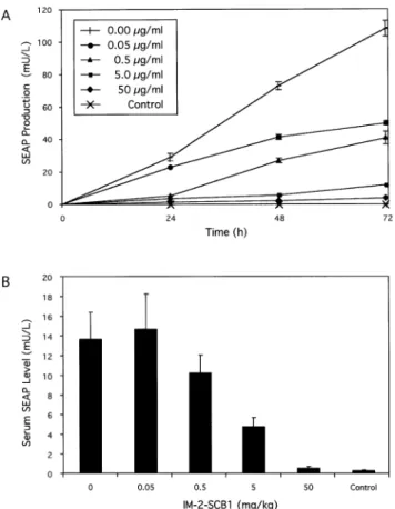 Figure 6. Butyrolactone-responsive SEAP expression from microencapsu- microencapsu-lated CHO-K1 cell derivatives in culture and in mice
