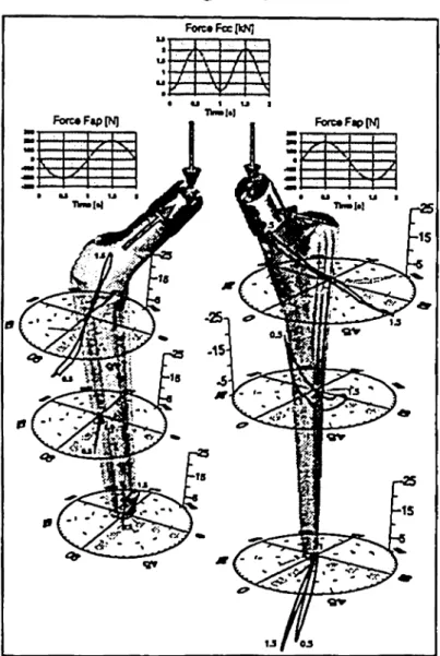 Figure 3: Mean Total Motion