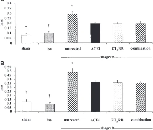 Fig. 1. Aortic wall thickness (mm) in WKY (A) and SHR rats (B). Sham, sham-operation; iso, isotransplantation; ACEi, ACE inhibitor;