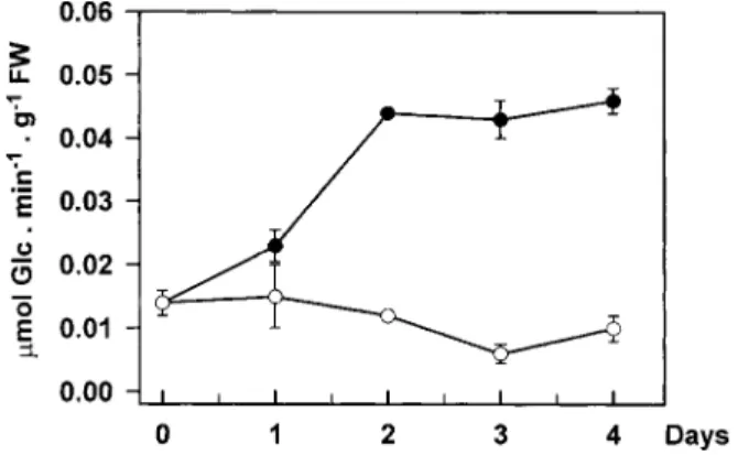 Fig. 3. Changes in exo-b-glucanase and b-glucosidase activities in second leaves of 17-d-old wheat plants incubated under culture room conditions ( k ) or in complete darkness ( m ) for 4 d