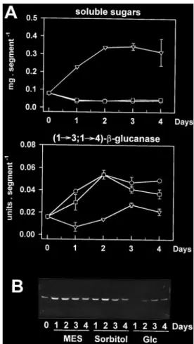 Fig. 5. Inhibition of dark-induced accumulation of (1£3,1£4)-b- (1£3,1£4)-b-glucanase in wheat leaf segments by glucose (Glc)