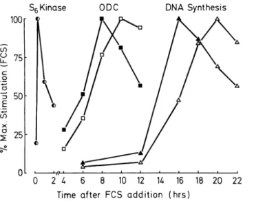 FIGURE 2. Kinetics of activation of important metabolic events  leading to cell proliferation in VSMC from SHR and WKY rats