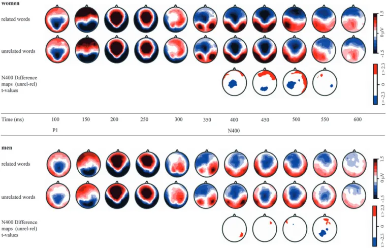 Figure 4. Results of the N400 effect analysis. ( A) The statistically nondifferentiable N400 difference maps for women (gray frame) and men (black frame)