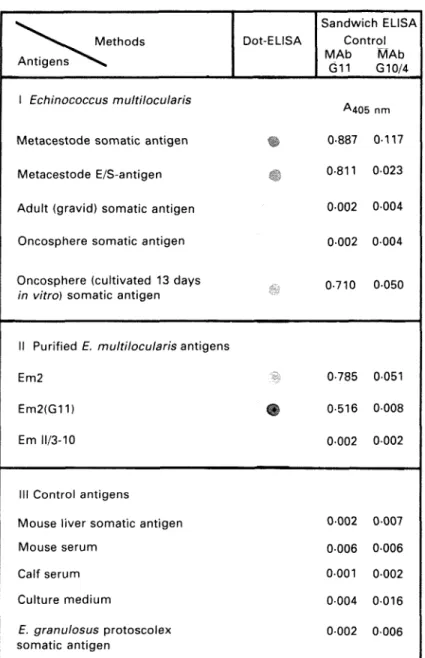Fig. 3. Specificity of dot-ELISA and sandwich-MAb  G i l - and control MAb G10/4-ELISA.