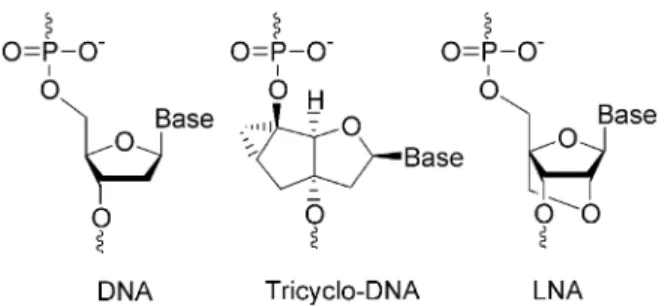 Figure 1. Molecular structures of tc-DNA and LNA in comparison to DNA.